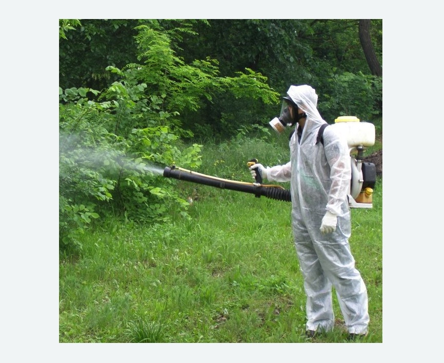 обработка территории от клещей в Киселевске