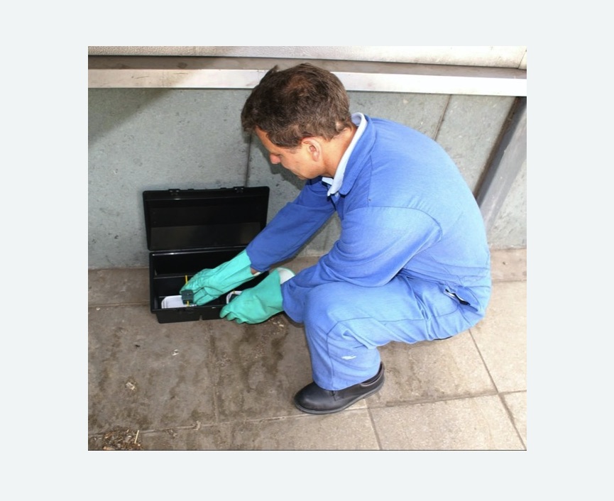 Дератизация помещения в Киселевске Дератизация помещения