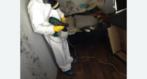 Обработка квартир от насекомых в Киселевске