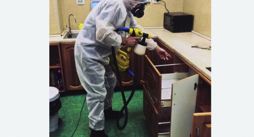 Дезинсекция квартиры. Киселевск