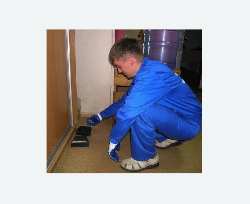 Дератизация крыс в Киселевске