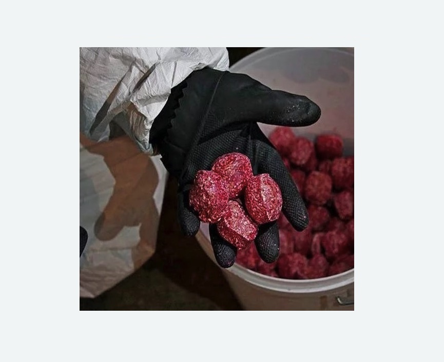 Обработка от крыс в Киселевске