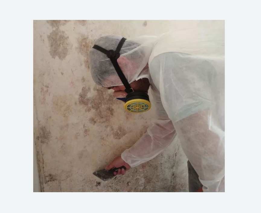 Обработка стен от плесени в Киселевске