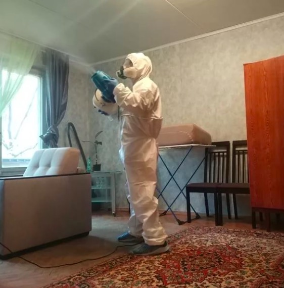 дезинсекция квартиры в Киселевске