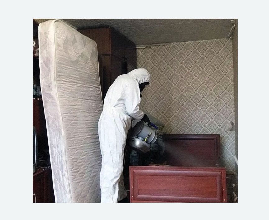 дезинфекция от клопов дезинфекция от клопов в Киселевске