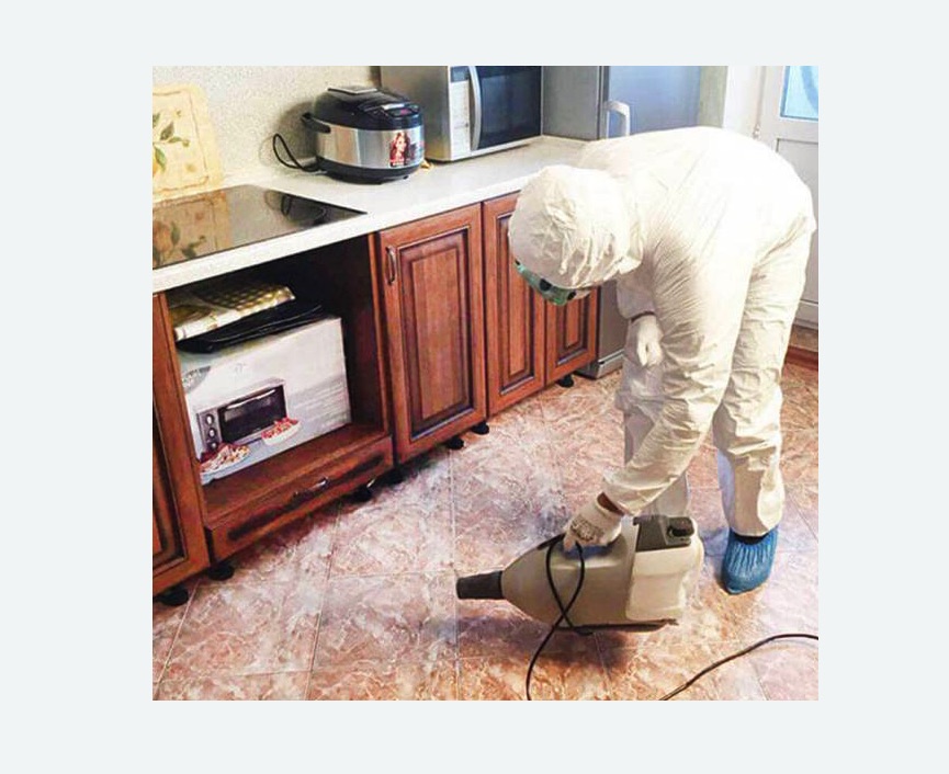 обработка квартиры от клопов в Киселевске обработка квартиры от клопов