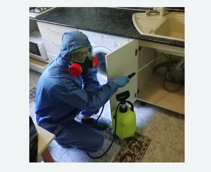 обработка от муравьев в квартире в Киселевске