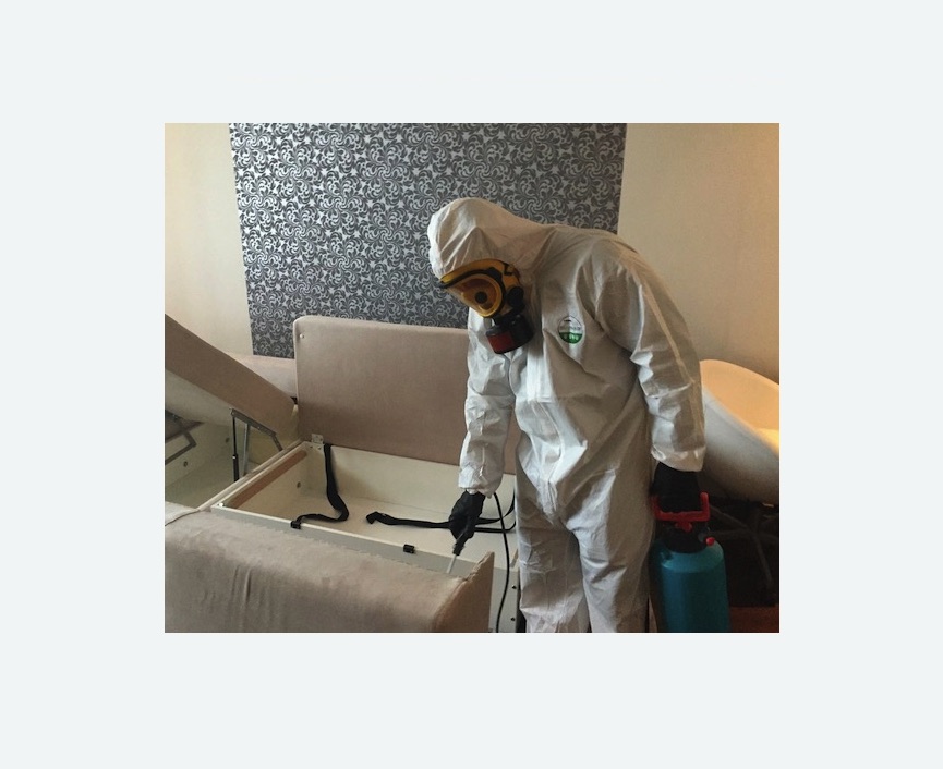 уничтожение клопов в квартире уничтожение клопов в квартире в Киселевске