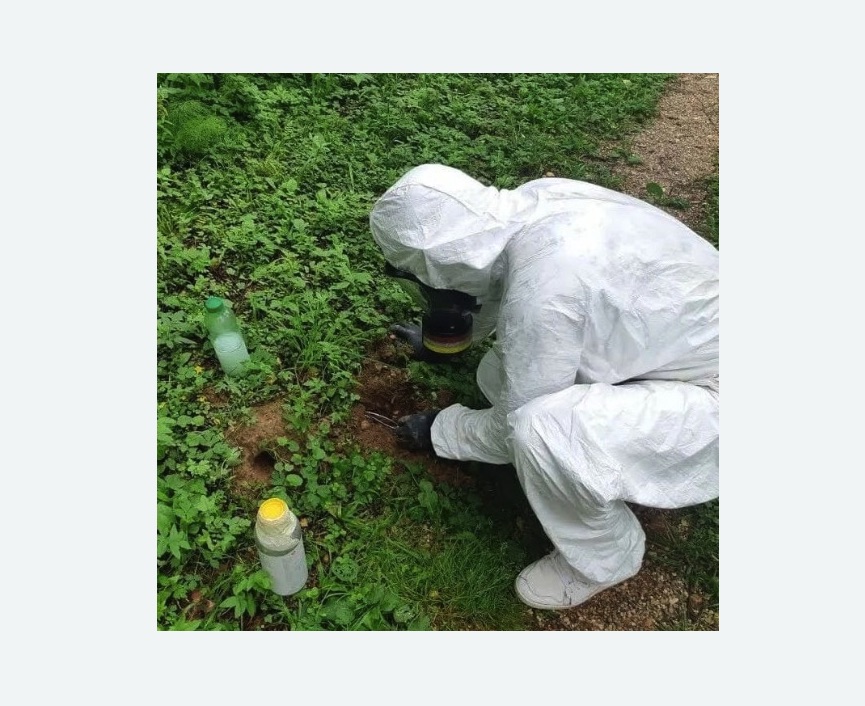 уничтожение кротов на участке уничтожение кротов на участке в Киселевске