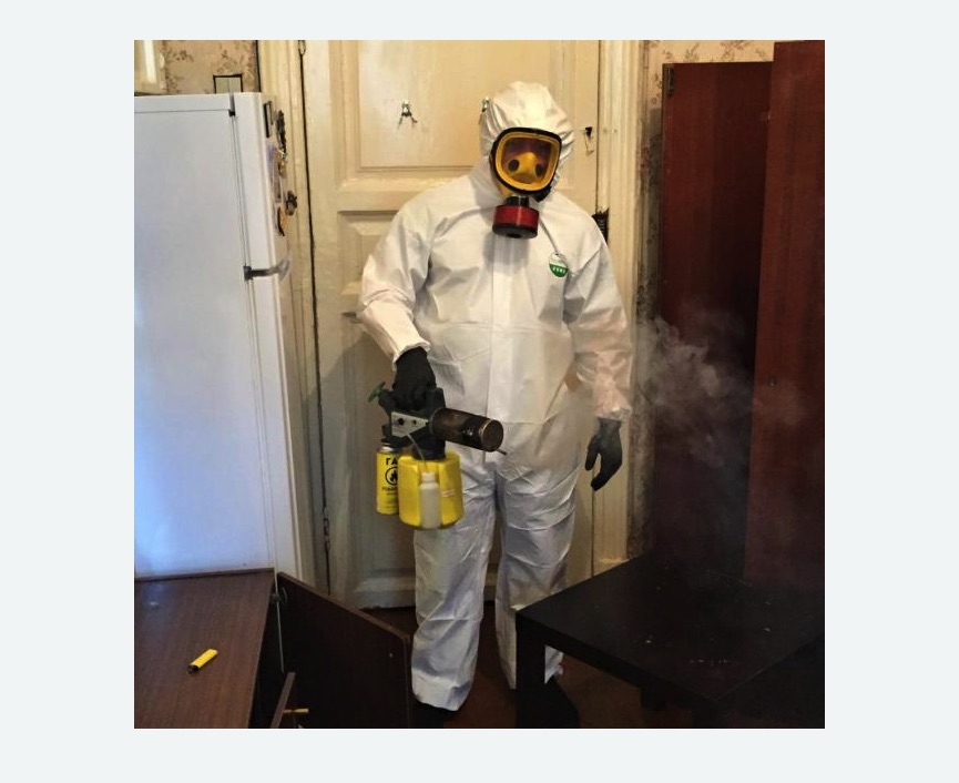 уничтожение муравьев в квартире в Киселевске